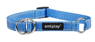 Amiplay kaelarihm Reflective, XL, sinine hind ja info | Kaelarihmad ja traksid koertele | kaup24.ee