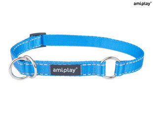 Amiplay kaelarihm Reflective, XL, sinine hind ja info | Kaelarihmad ja traksid koertele | kaup24.ee