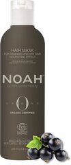 Toitev mask kahjustatud ja kuivadele juustele Noah Origins, 250 ml hind ja info | Maskid, õlid, seerumid | kaup24.ee