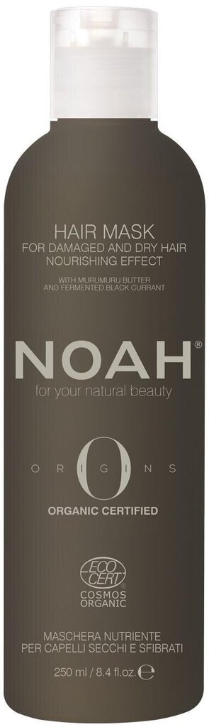 Toitev mask kahjustatud ja kuivadele juustele Noah Origins, 250 ml hind ja info | Maskid, õlid, seerumid | kaup24.ee