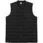 Naiste vest Outhorn HOL22 KUDP600 20S, must hind ja info | Naiste vestid | kaup24.ee