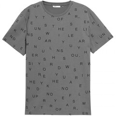 Мужская футболка Outhorn серый HOL22 TSM606 23S цена и информация | Мужские футболки | kaup24.ee