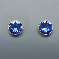 Серьги "Классика (Aquamarine Blue)" с кристаллами Swarovski™ цена и информация | Серьги | kaup24.ee