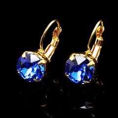 Naiste kõrvarõngad DiamondSky Glory koos Swarovski kristallidega II hind ja info | Kõrvarõngad | kaup24.ee