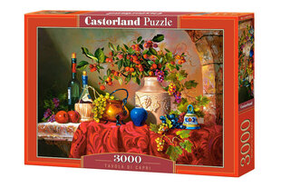 Castorland Tavola di Capri puzzle, 3000 tükki hind ja info | Pusled | kaup24.ee