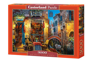 Castorland Meie eriline koht Veneetsias, 3000 tükki hind ja info | Pusled | kaup24.ee