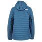 Jope the north face m grivola ins jkt nf0a4m79bh7 цена и информация | Meeste joped | kaup24.ee