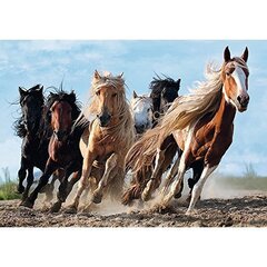 Pusle Trefl "Hobused", 1000-osaline hind ja info | Pusled | kaup24.ee
