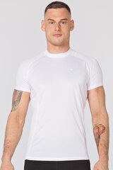 Мужская термоактивная футболка FURY цена и информация | Мужская спортивная одежда | kaup24.ee