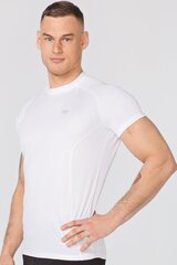 Мужская термоактивная футболка FURY цена и информация | Мужская спортивная одежда | kaup24.ee
