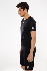 Meeste T-särk BASIC TEE hind ja info | Meeste spordiriided | kaup24.ee