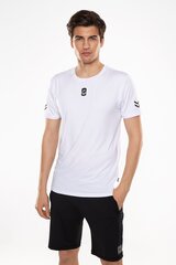 Мужская футболка BASIC TEE цена и информация | Мужская спортивная одежда | kaup24.ee