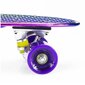 Rula Nils Extreme Pennyboard PNB01 Rainbow, erinevad värvid цена и информация | Rulad | kaup24.ee