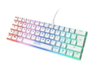 Механическая мини-клавиатура DELTACO GAMING WHITE LINE 60% раскладка США, RGB, красные переключатели, белая/ GAM-075-W-US цена и информация | Клавиатура с игровой мышью 3GO COMBODRILEW2 USB ES | kaup24.ee