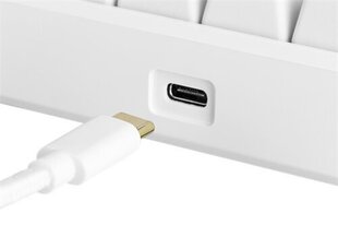 Deltaco Gaming White Line RGB GAM-075-W-US цена и информация | Клавиатура с игровой мышью 3GO COMBODRILEW2 USB ES | kaup24.ee