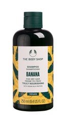 Шампунь The Body Shop Shampooing Nourrissant Banane, 250мл цена и информация | Шампуни | kaup24.ee