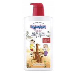 Keha ja juuste pesugeel lastele Bambino Kids 2in1, 1000ml hind ja info | Dušigeelid, õlid | kaup24.ee