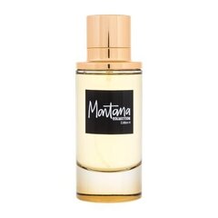 Naiste parfüüm Claude Montana Collection Edition 4 EDP, 100 ml hind ja info | Naiste parfüümid | kaup24.ee