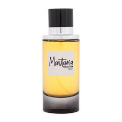 Мужская туалетная вода Claude Montana Collection Edition 1 EDP, 100 мл  цена и информация | Мужские духи | kaup24.ee