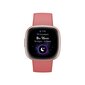 Fitbit Versa 4 Pink Sand/Copper Rose hind ja info | Nutikellad (smartwatch) | kaup24.ee