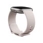 Fitbit Sense 2 Lunar White/Platinum цена и информация | Nutikellad (smartwatch) | kaup24.ee
