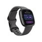 Fitbit Sense 2 Shadow Grey/Graphite цена и информация | Nutikellad (smartwatch) | kaup24.ee