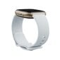 Fitbit Sense 2 Blue Mist/Soft Gold цена и информация | Nutikellad (smartwatch) | kaup24.ee