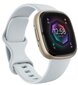 Fitbit Sense 2 Blue Mist/Soft Gold цена и информация | Nutikellad (smartwatch) | kaup24.ee