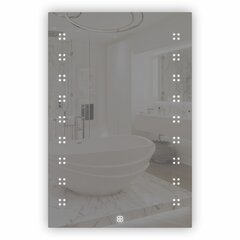 Peegel, hõbedane hind ja info | Vannitoa peeglid | kaup24.ee
