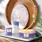 WoodWick lõhnaküünal Lavender Spa, 275 g цена и информация | Küünlad, küünlajalad | kaup24.ee