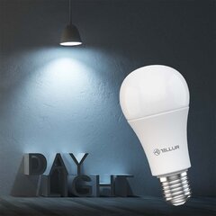 Tellur Smart WiFi Bulb E27, 9 Вт, белый/теплый, диммер цена и информация | Лампочки | kaup24.ee