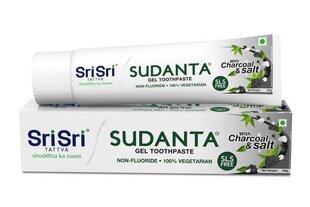 Гелевая зубная паста с углем и солью Sudanta Sri Sri Tattva, 100г цена и информация | Для ухода за зубами | kaup24.ee