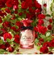 Naiste tualettvesi Dolce Gabbana Dolce Rose EDT, 50 ml hind ja info | Naiste parfüümid | kaup24.ee