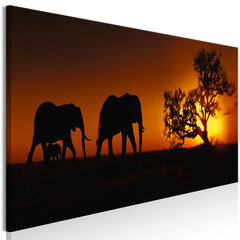 Pilt - Elephant Family (Orange) 150x50 cm hind ja info | Seinapildid | kaup24.ee