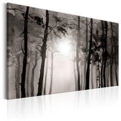 Pilt - Foggy Forest 120x80 cm hind ja info | Seinapildid | kaup24.ee