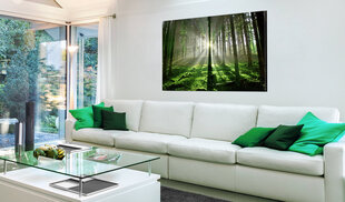 Pilt - Emerald Forest II 120x80 cm hind ja info | Seinapildid | kaup24.ee