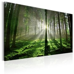 Pilt - Emerald Forest II 120x80 cm hind ja info | Seinapildid | kaup24.ee