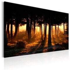 Pilt - Forest Dawn 120x80 cm hind ja info | Seinapildid | kaup24.ee