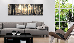 Pilt - Forest Sun 135x45 cm hind ja info | Seinapildid | kaup24.ee