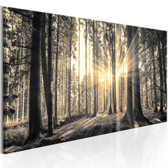 Pilt - Forest Sun 135x45 cm hind ja info | Seinapildid | kaup24.ee