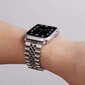 Apple Watch Jubilee Roostevaba Teras Rihm – Hõbe 38/40/41mm цена и информация | Nutikellade ja nutivõrude tarvikud | kaup24.ee