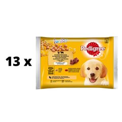 Koeratoidu komplekt PEDIGREE Junior, 4 x 100 g x 13 tk. pakett hind ja info | Konservid koertele | kaup24.ee