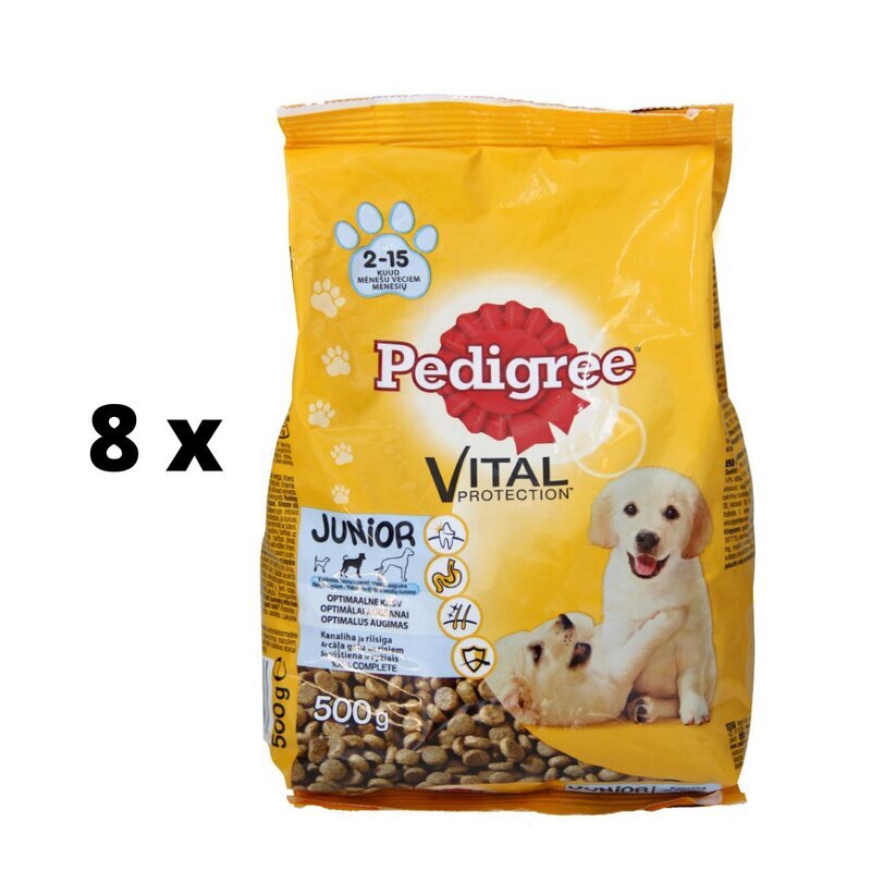 Koera kuivtoit PEDIGREE Junior, kanaga, 500 g x 8 tk. pakett hind ja info | Kuivtoit koertele | kaup24.ee