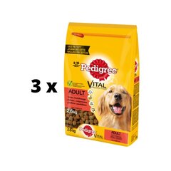 Сухой корм для собак Pedigree Medium с птицей и говядиной, упаковка 3 шт. по 2.6 кг цена и информация | Сухой корм для собак | kaup24.ee