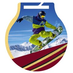 Terasest medal Snowboarding, 5cm hind ja info | Numismaatika | kaup24.ee