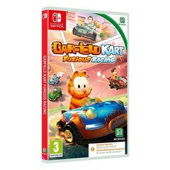 SWITCH Garfield Kart Furious Racing (Code in a Box) цена и информация | Компьютерные игры | kaup24.ee