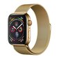 Kellarihm Magnetic Strap Watchband Watch 7 41mm Magnetic Band Bracelet (Gold) hind ja info | Nutikellade ja nutivõrude tarvikud | kaup24.ee