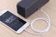 AUX Lightning mini Jack 3,5 mm kaabel iPhone iPad 1M цена и информация | Mobiiltelefonide kaablid | kaup24.ee