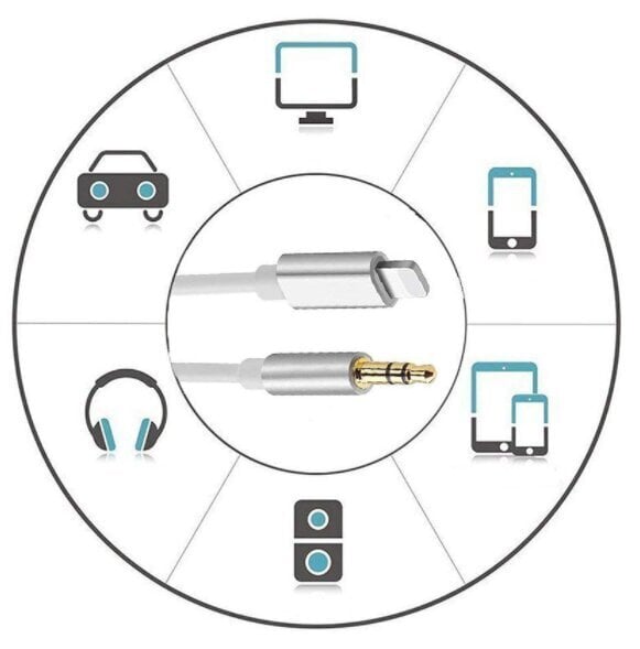 AUX Lightning mini Jack 3,5 mm kaabel iPhone iPad 1M цена и информация | Mobiiltelefonide kaablid | kaup24.ee