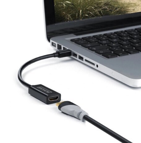 Adapterkaabel Mini DisplayPort Hdmi 4K Thunderbolt Zenwire цена и информация | USB jagajad, adapterid | kaup24.ee